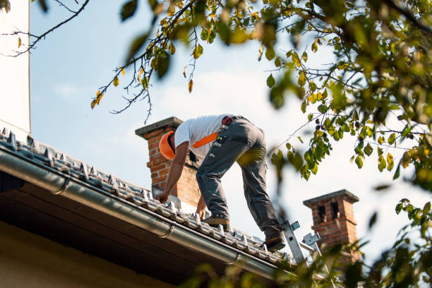 Best Roof Leak Repair  in Mount Pleasant, TN